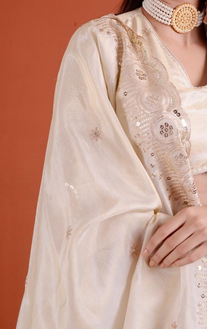 Pure viscous tissue silk chaniya choli with sequence work